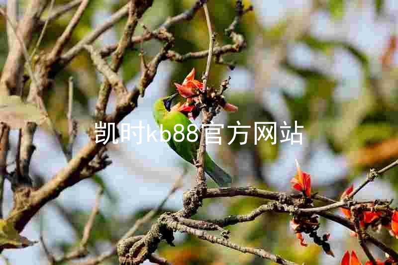 凯时kb88官方网站