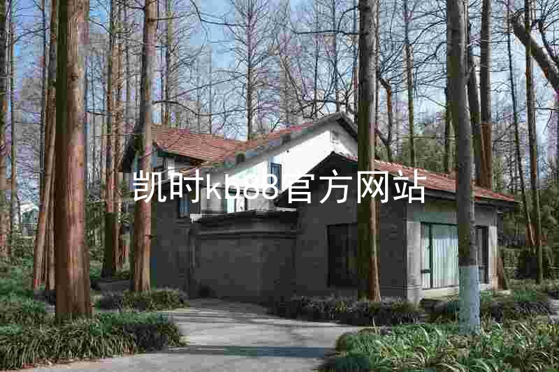 凯时kb88官方网站