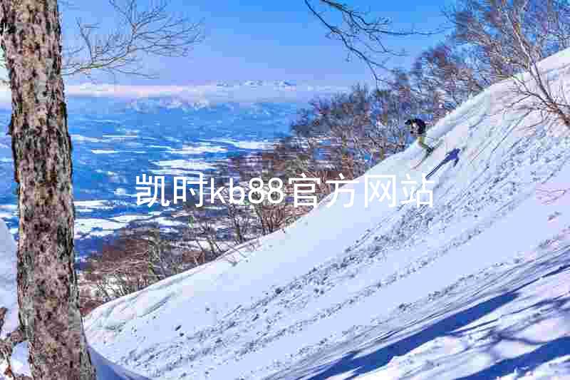 凯时kb88官方网站
