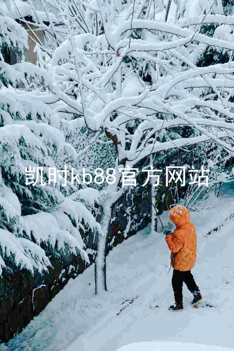 凯时kb88官方网站