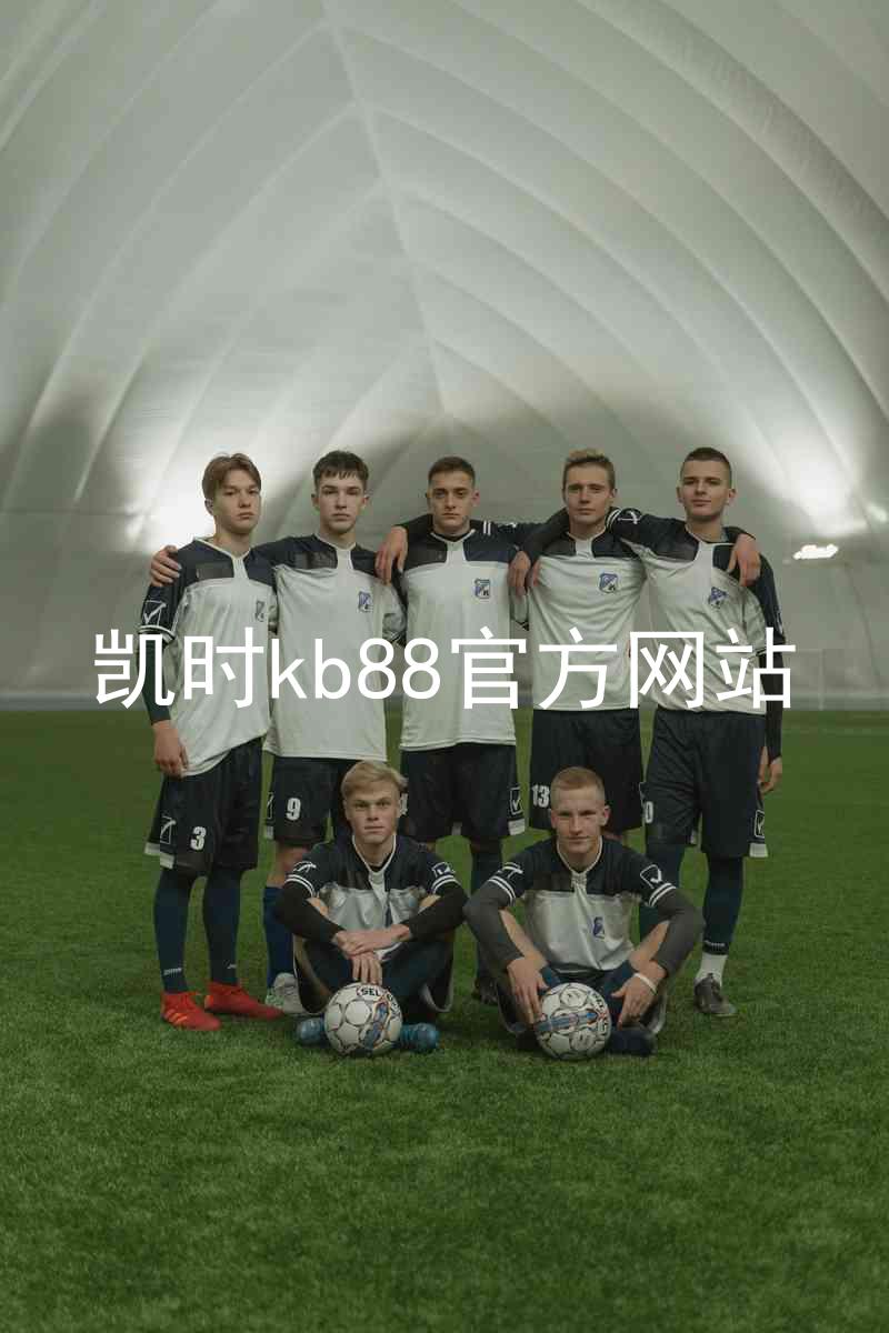 凯时kb88官方网站