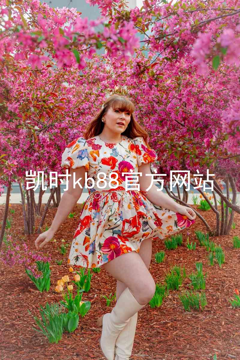 凯时kb88官方网站